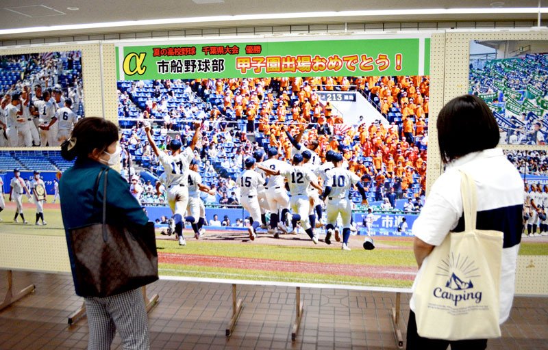 市船橋高の１５年ぶりの夏の甲子園出場を記念した写真展＝１日、船橋市役所
