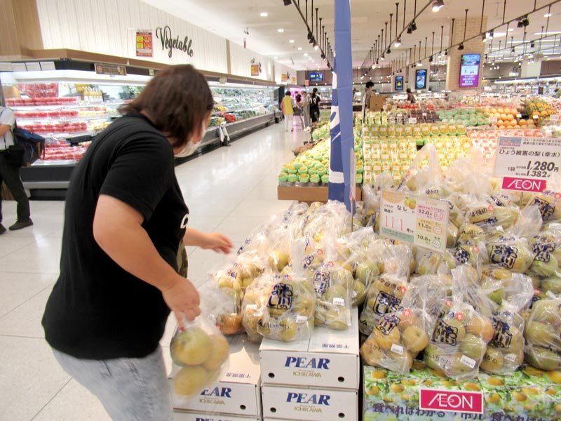 ひょうで被災「市川の梨」イオン市川妙典店で販売　来週以降、千葉県内イオン系列店でも　「甘さ、みずみずしさ変わらない」