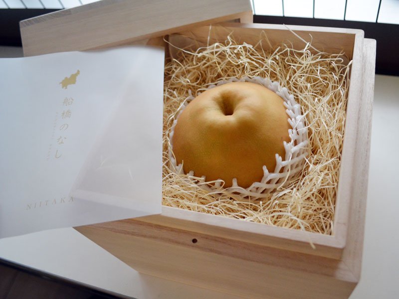 贈答用の特製桐箱に入れた船橋市産の大きな新高梨。価格は１箱１玉入りで税込み１万１千円＝２４日、同市