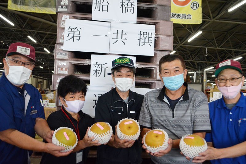 船橋産巨大梨、桐箱入りで１万円　農家や工房、スーパーなど連携し商品化　「高級ギフトに」価値底上げ
