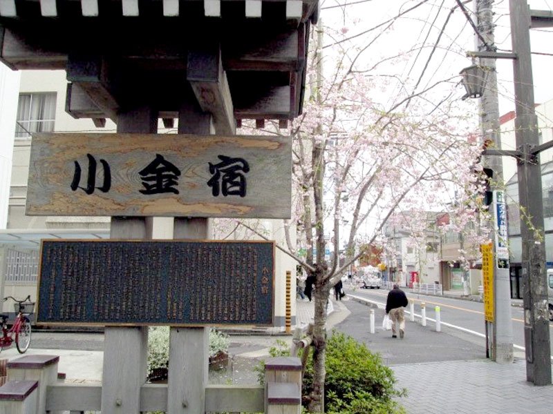 歴史伝える旅籠玉屋　水戸街道小金宿　【千葉地理学会連載　おもしろ半島ちばの地理再発見】