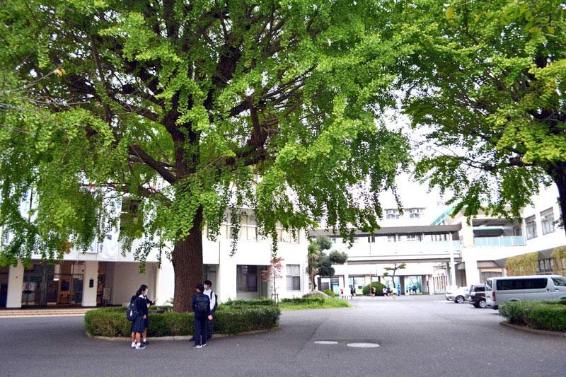 中高６年間の完全一貫教育　「自分探し」の学び重視　東邦大付属東邦中（習志野市）【キラッと★学校自慢】