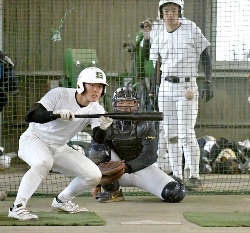 春よ来い！！　専松ナイン吉報待つ　センバツ出場校２７日発表