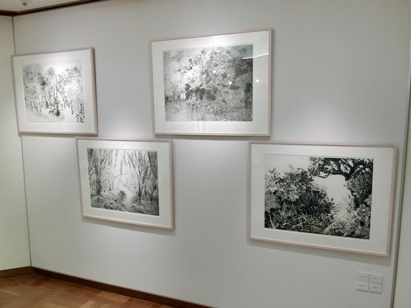 創造海岸展 油彩、造形、銅版画で競演　気鋭３人が独自の表現　千葉市民ギャラリー・いなげ