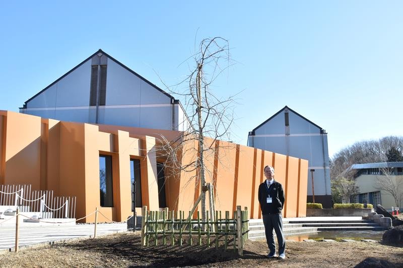 「三春滝桜」の子孫樹の成長を期待する鷹野館長＝市原市
