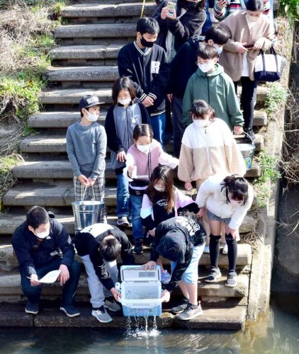 大事に育てたサケの稚魚を放流する子どもたち＝睦沢町
