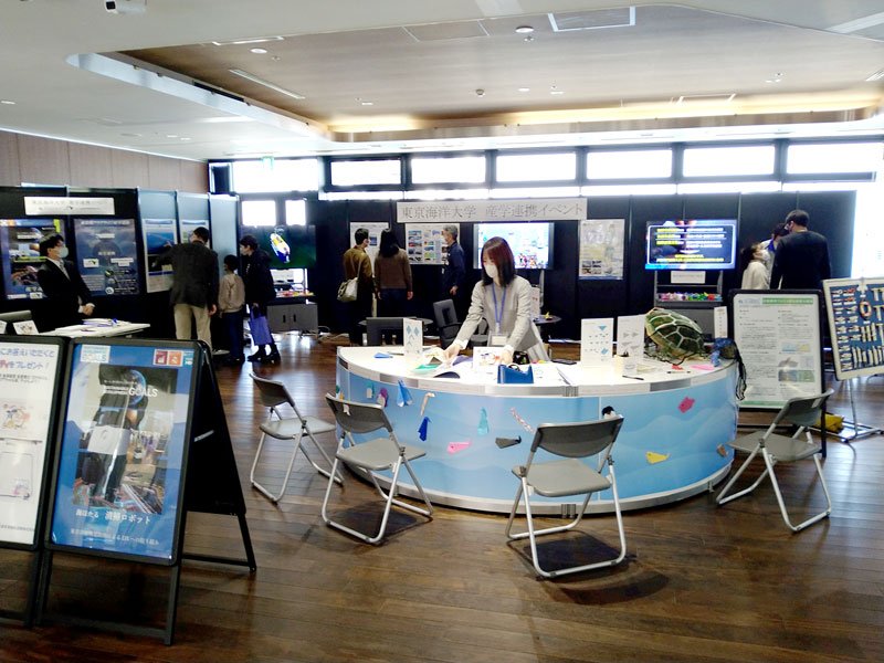成田市場で航空機用のコンテナに輸出する鮮魚を積み込むＪＡＬの作業員