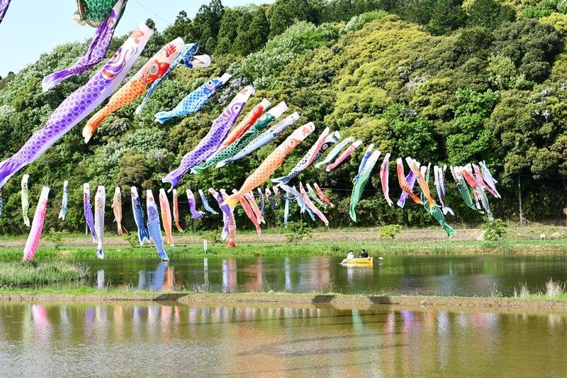 青空の下、優雅に舞うこいのぼり＝２１日、香取市
