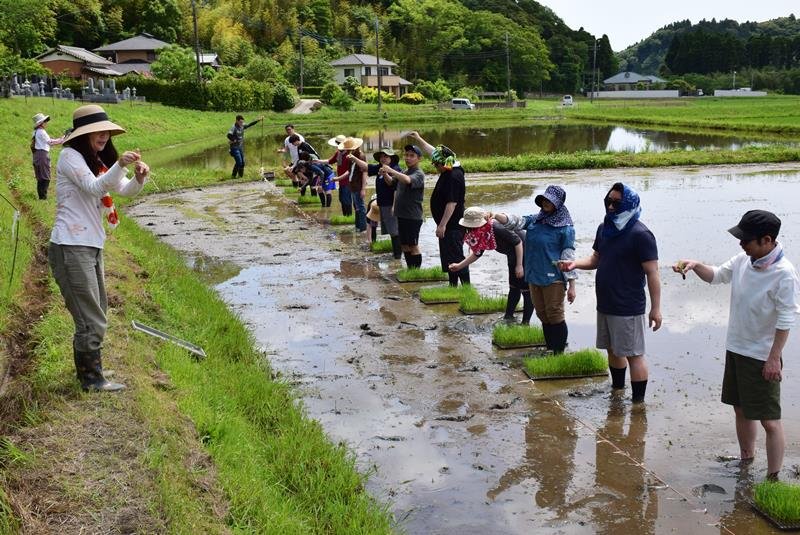 苗の植え方を教わる体験会の参加者＝２７日、長南町
