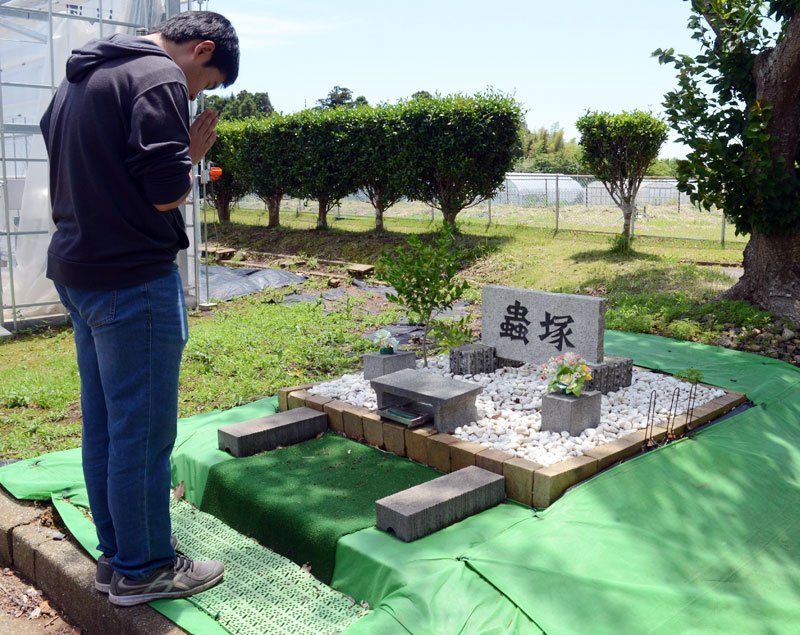 「蟲塚」の前で手を合わせる参加者＝４日、東金市
