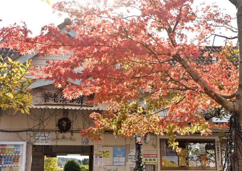養老渓谷駅（イメージ写真）