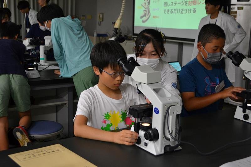 顕微鏡の使い方を大学生から教わる児童たち＝船橋市の東邦大習志野キャンパス
