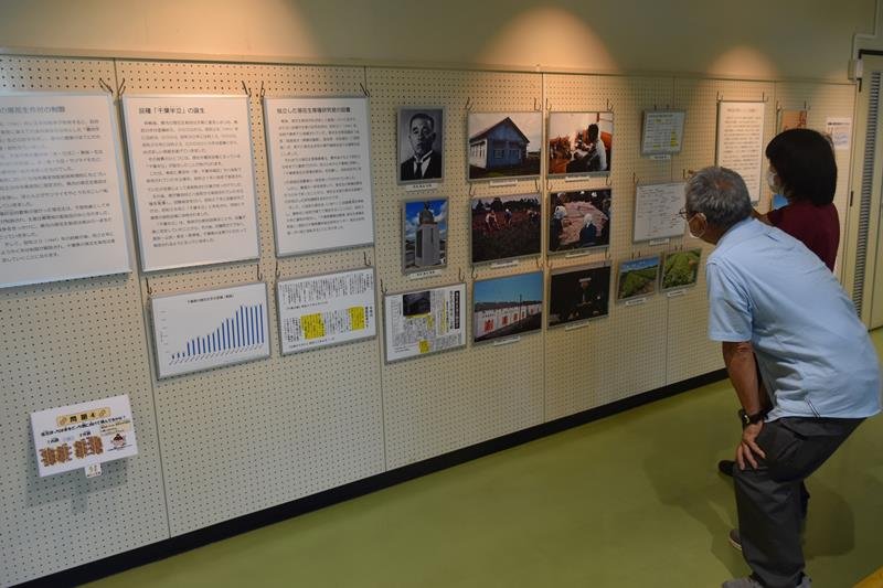 県誕生１５０周年記念事業の一環で開催中の落花生にスポットを当てた企画展＝八街市中央公民館
