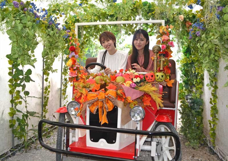『不思議の国のアリス』をテーマにしたアトラクション＝５日、八千代市の京成バラ園