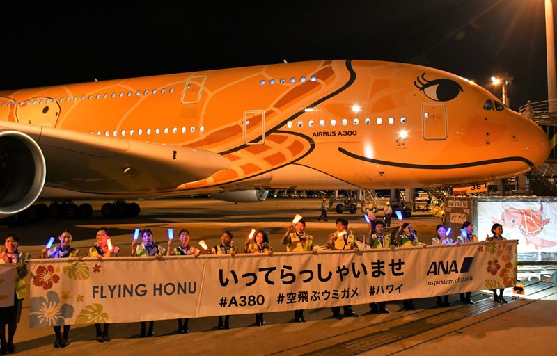 成田空港から初めてハワイへ飛び立つフライングホヌの３号機を前に喜ぶＡＮＡスタッフたち＝２０日夜、成田市
