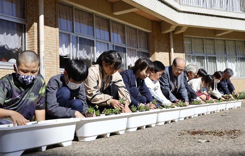 寄贈された花の苗をプランターに植える児童ら＝多古町立多古第一小学校（同町提供）

