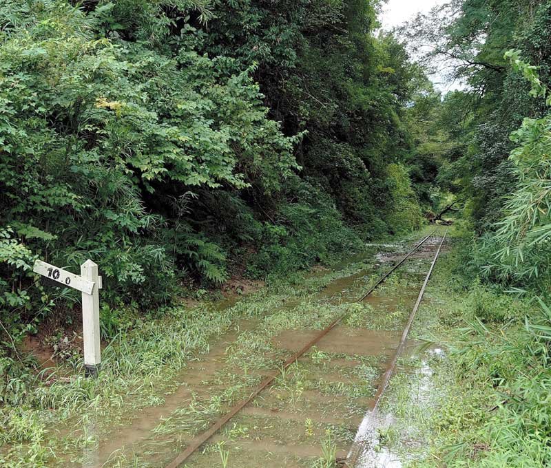 台風１３号の大雨で冠水していた小湊鉄道の線路。奥には倒木が線路をふさいでいるのが確認できる＝９月９日、市原市月崎（山の下踏切から撮影）
