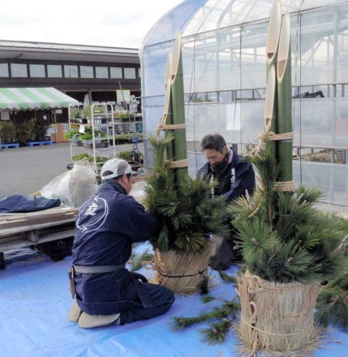 正月用の門松を制作する東金市植木組合青年部員＝２４日、同市