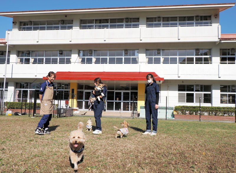閉校から１５年、旧環南小跡地に整備されたドッグラン施設。愛犬とくつろぐカフェもある＝富津市
