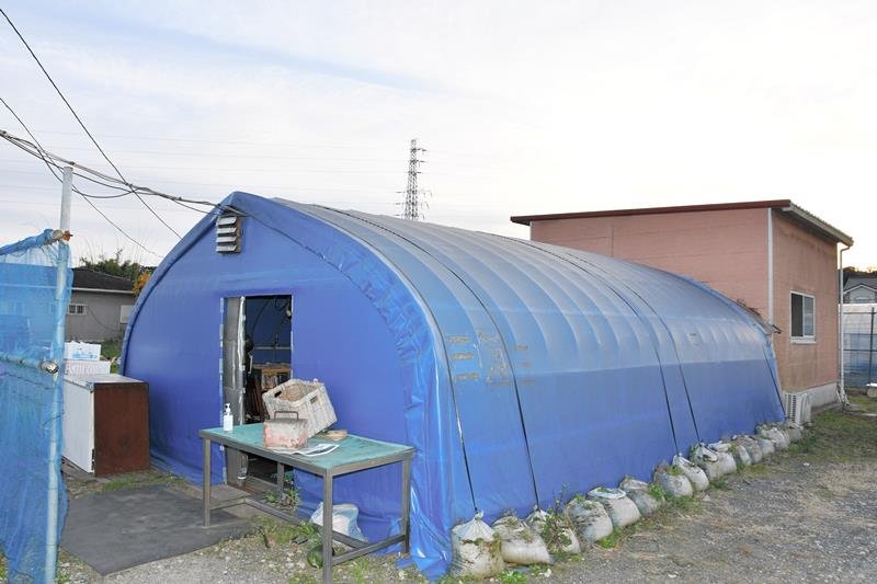 地元産ＳＰＦ豚生かす　トロトロの絶品角煮入り　ハウスラーメンたけ坊（東庄町）【房総ラーメン図鑑】（７）