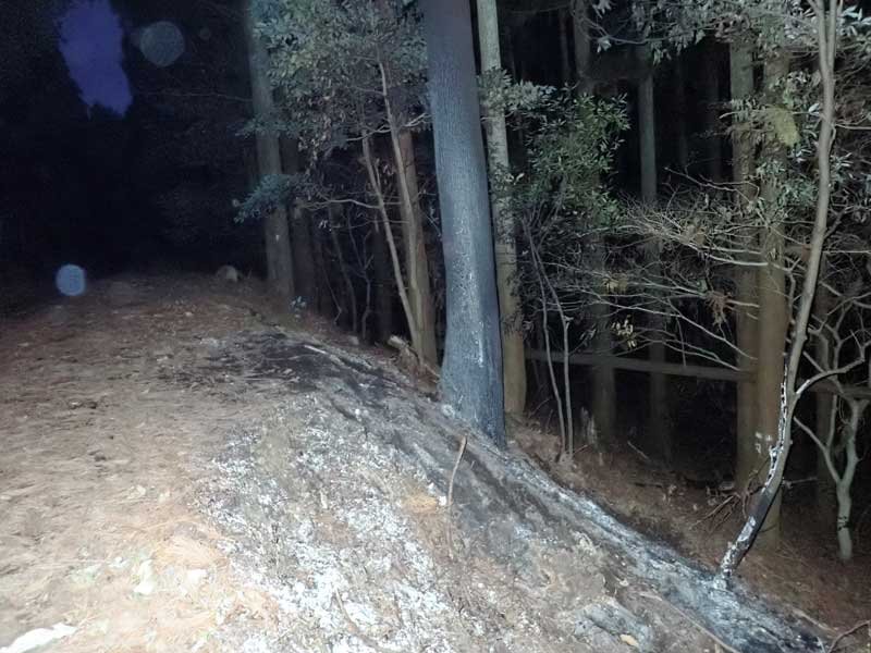 男性の遺体が見つかった現場。道路脇斜面の樹木が焼け焦げていた＝９日午後５時５０分ごろ、大多喜町大田代