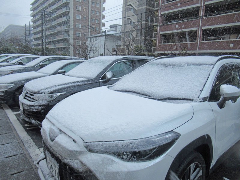 【速報】千葉県北西部に大雪警報　高速通行止め　降雪１０センチ予想、路面凍結や電線への着雪で交通に影響も…注意呼びかけ