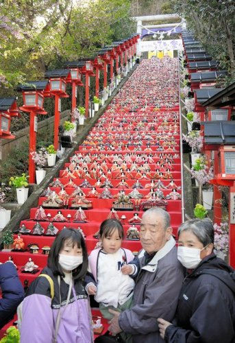 「かつうらビッグひな祭り」で、遠見岬神社の石段６０段に飾られた約１８００体のひな人形＝２４日、勝浦市