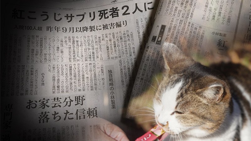 ※写真はイメージ
