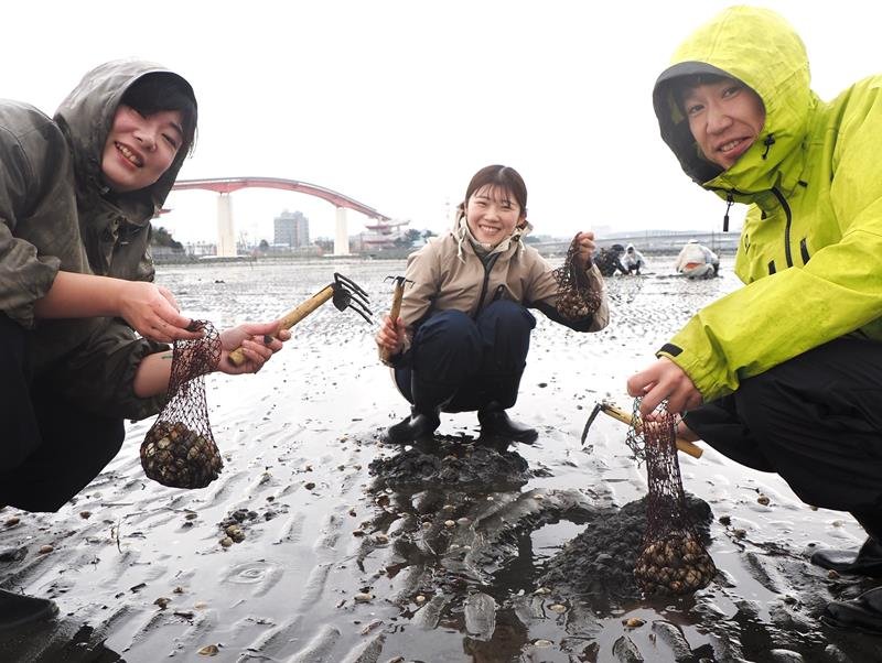雨が降る中、アサリの成育状況を確認するため行われた試し掘り＝１２日、木更津市
