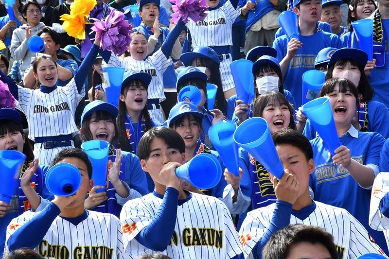 選手たちに声援を送る中央学院の応援席＝３０日、兵庫県西宮市の甲子園球場
