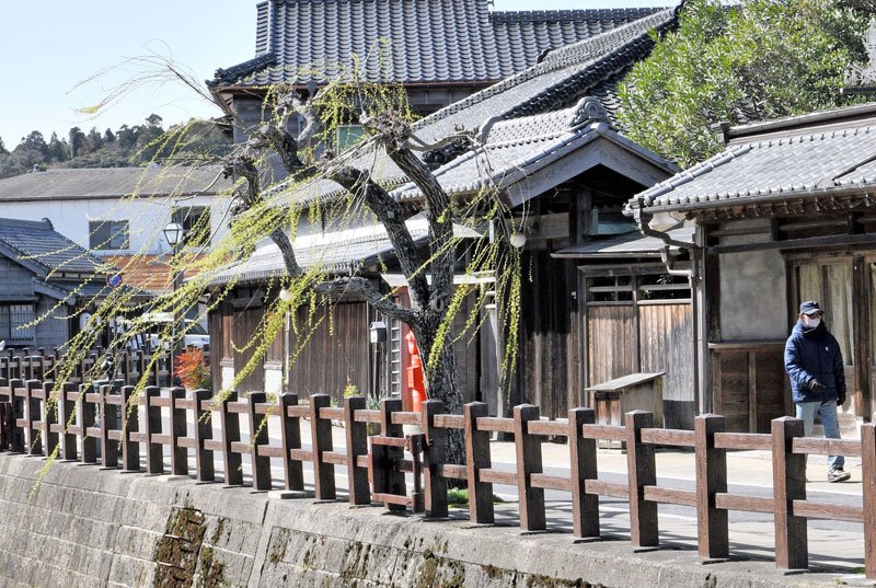 強風になびく柳の木＝１８日午前９時２５分ごろ、香取市