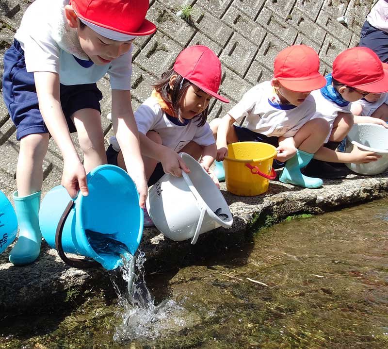 「大きく育って」と養老川に稚アユを放流する加茂小学校の児童＝１９日、市原市大久保