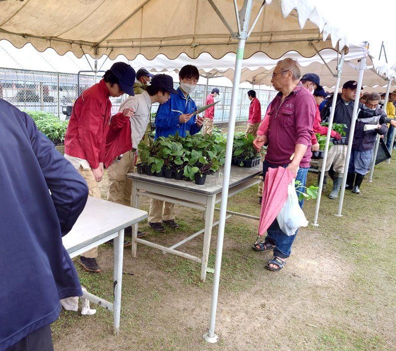 市民（中央右）に野菜の苗を販売する市原高校の生徒（左から３人）＝市原市の同校鶴舞グリーンキャンパス（同校提供）