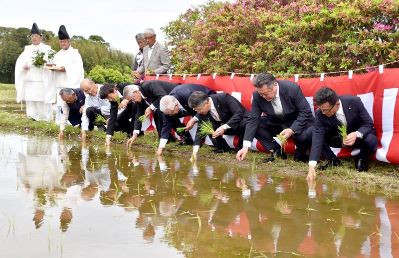 「田植えの儀」を執り行う明治神宮関係者や地元崇敬講の役員ら＝鴨川市

