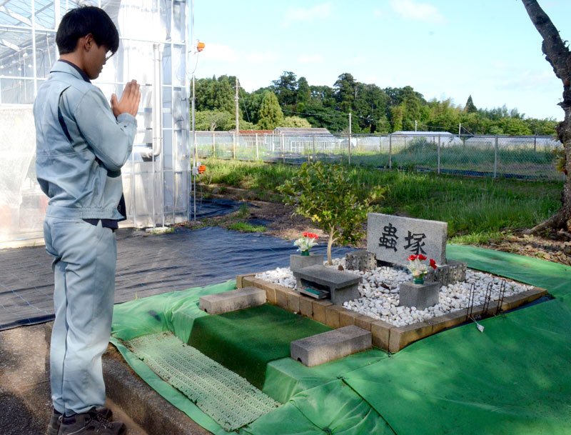 「蟲塚」に手を合わせる県立農業大学校の学生＝４日、東金市