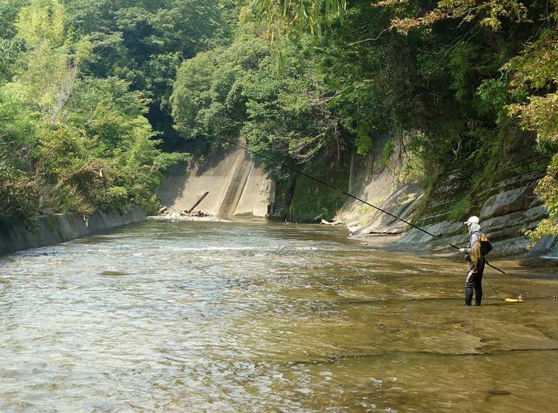 養老川でアユを狙う大会参加者＝市原市
