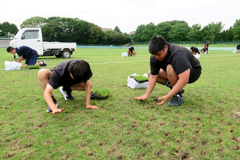 グラウンドに芝を植える高校生ら＝６月２５日、千葉市稲毛区の県総合スポーツセンター