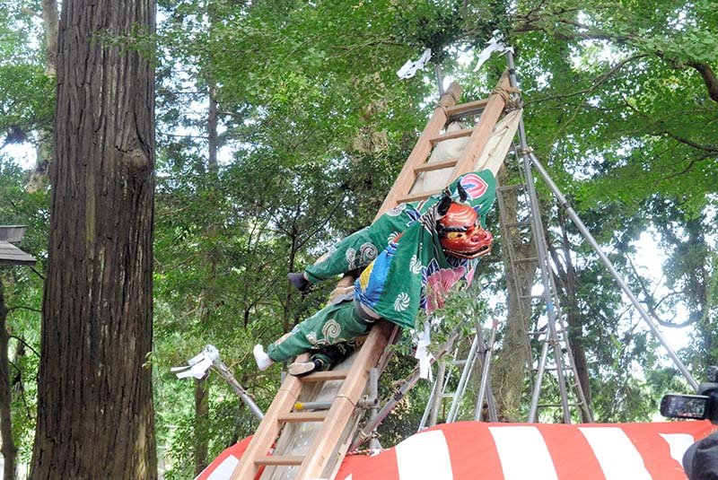 息の合った演技を見せる獅子＝２５日、横芝光町
