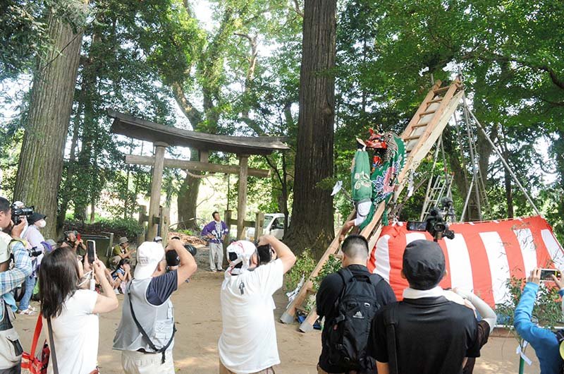 ７メートルはしごの上で妙技　横芝光　伝統の中台梯子獅子