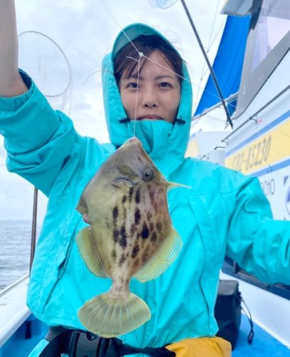 勝山沖で釣り上げたカワハギ（写真は「萬栄丸」提供）
