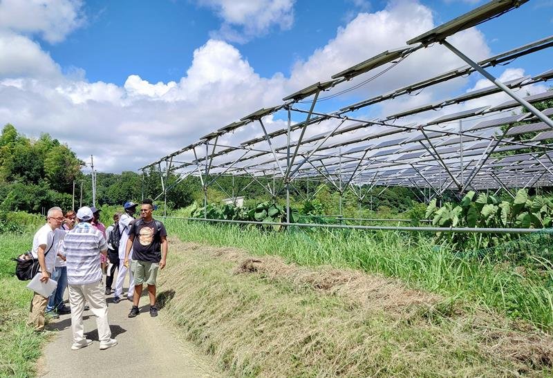 ソーラーシェアリング設備の説明を熱心に聞く留学生ら＝市原市下矢田
