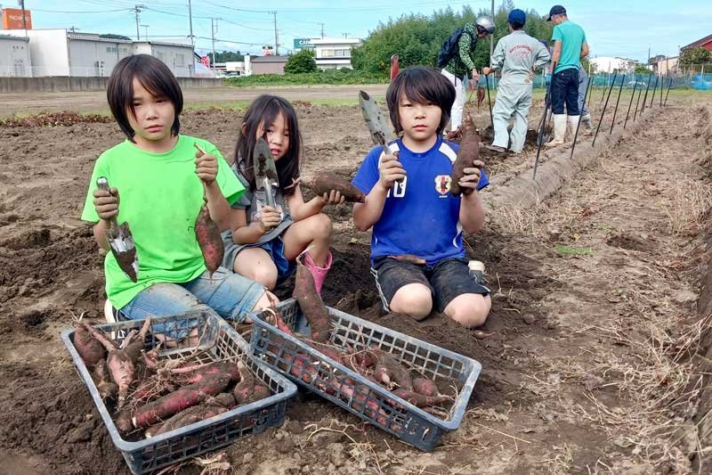 芋掘りイベントに参加した子どもら＝２７日、いすみ市
