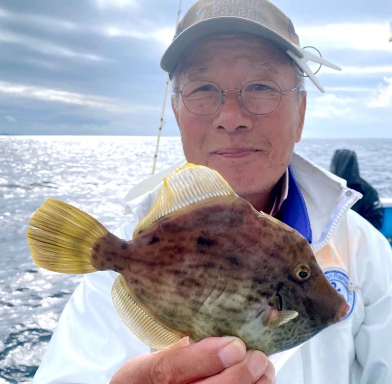 勝山沖で釣り上げたカワハギ（写真は「萬栄丸」提供）