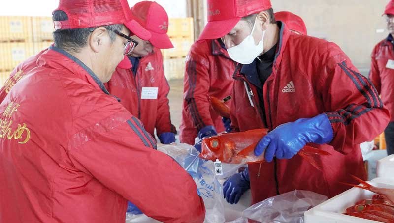 キンメ、生マグロ…　海の幸求め長蛇の列　銚子港水産まつり【写真複数あり】