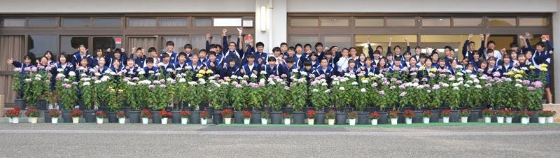 勝浦駅などに展示する菊を栽培した勝浦中２年生＝勝浦市
