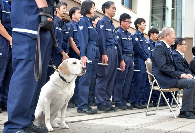 麻薬探知犬の慰霊祭に参列する税関職員と現役犬＝１日、成田市
