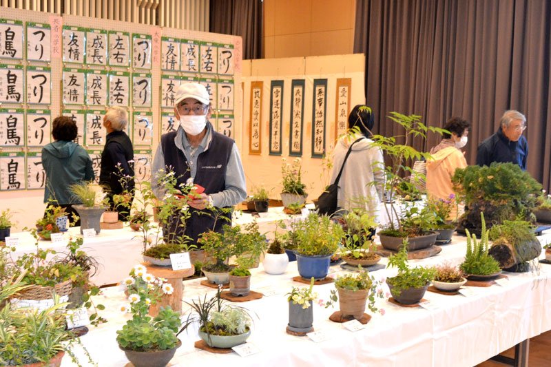 山野草や書道の展示も人気を集めた＝いすみ市岬公民館