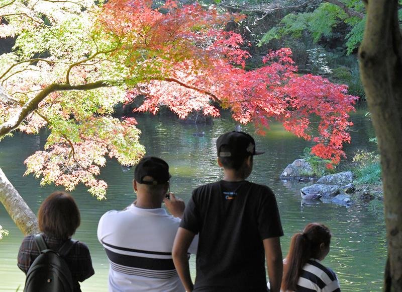 【写真複数あり】燃ゆる庭園、優美な調べ　成田山公園で「紅葉まつり」