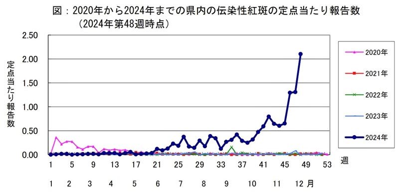千葉県内「リンゴ病」流行拡大　妊婦は注意必要　専門家「人混み避けて」