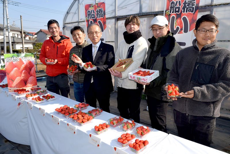船橋産のイチゴをＰＲする松戸市長（左から３人目）と若手生産者＝２４日、船橋市